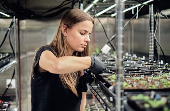 Google’s X spins off Heritable agriculture, a startup that uses AI to improve crop yield.