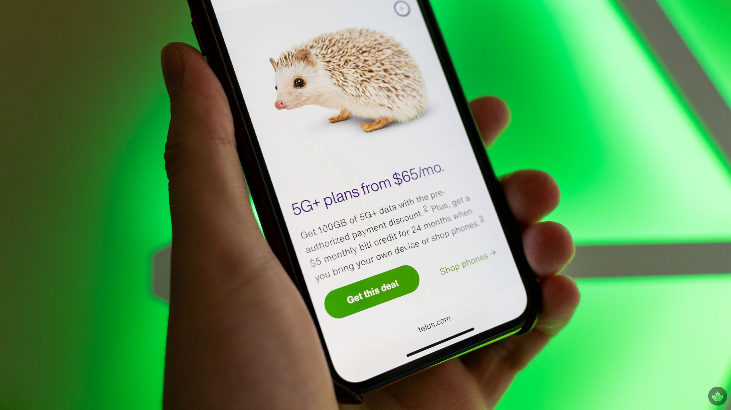 Telus increases plan prices again and adds a $5/mo credit.
