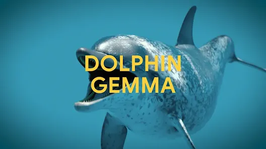DolphinGemma: How Google AI is helping decode dolphin communication
