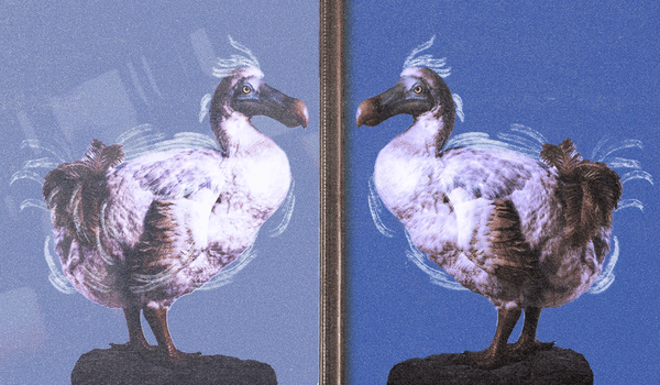 Meta’s AI-based ad plan raises the stakes, even if creative executives shrug it off