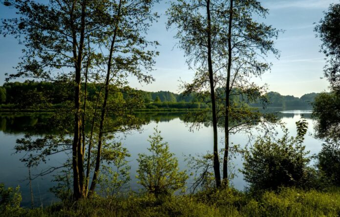 Data center boom in Georgia sparks backlash from residents