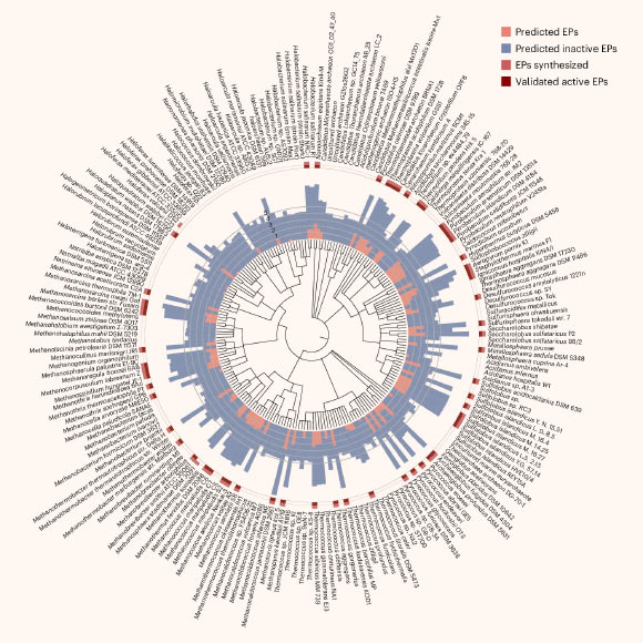 ai-discovers-new-molecules-with-potential-antimicrobial-activity-in-archaea.jpg AI Discovers New Molecules With Potential Antimicrobial Activity In Archaea