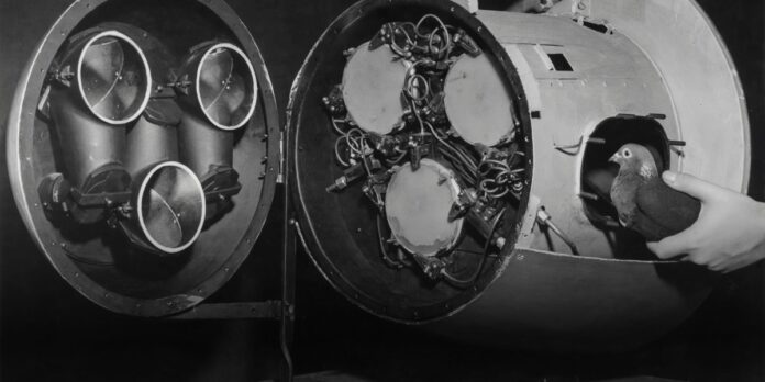 The Download: pigeons and AI development, and Native artists’ interpretations of tech