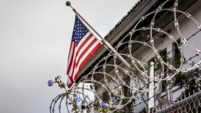 After a Complicated Legal History, AI Set Her FREE