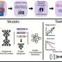 deep-learning-for-precision-cancer-treatment.jpg Deep learning for precision cancer treatment