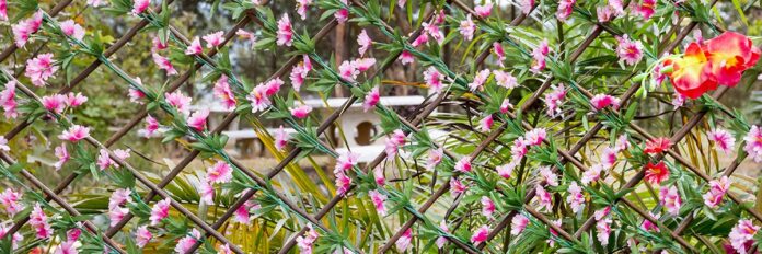 interview-fausto-fleites-vice-president-of-data-intelligence-scottsmiraclegro.jpg Interview: Fausto Fleites Vice-President of Data Intelligence, ScottsMiracleGro