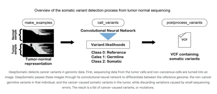 Google AI Research Releases DeepSomatic: A New AI Model that Identifies Cancer Cell Genetic Variants
