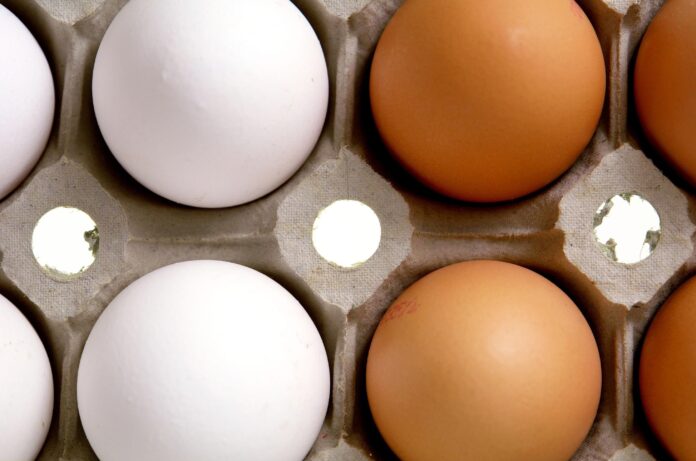 Your Data Might Determine How Much You Pay for Eggs