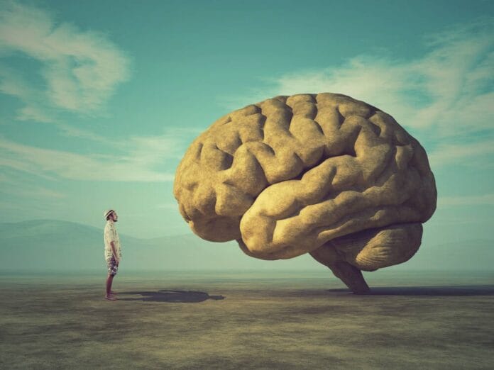 openai-invests-in-brain-interface-biz-co-founded-by-ceo-sam-altman.jpg OpenAI invests in brain-interface biz co-founded by CEO Sam Altman